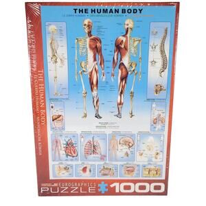 Eurographics The Human Body 1000-piece Puzzle New Sealed Educational